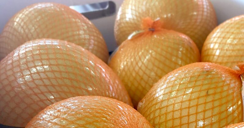 Grapefruit in orange netting on the market floor